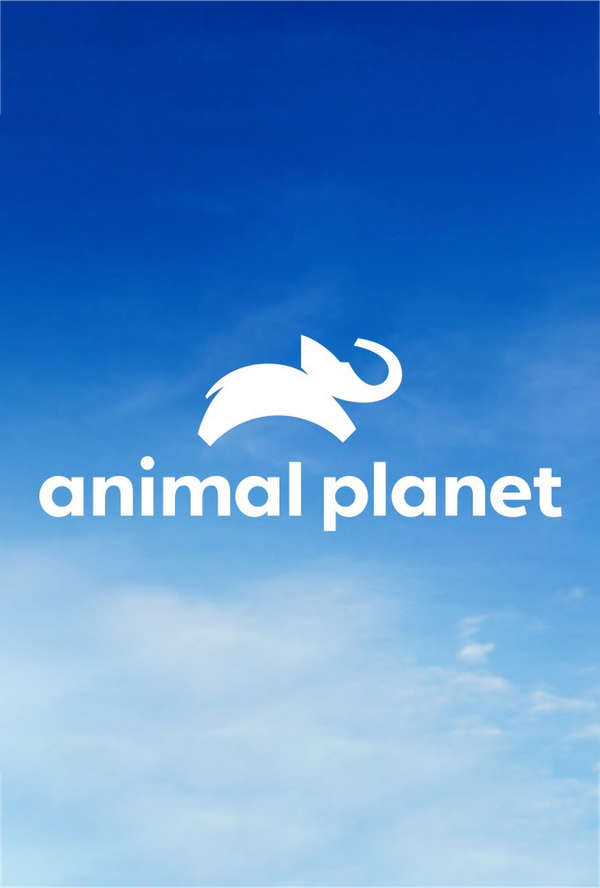 Animal Planet